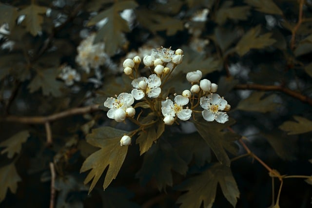 beautiful